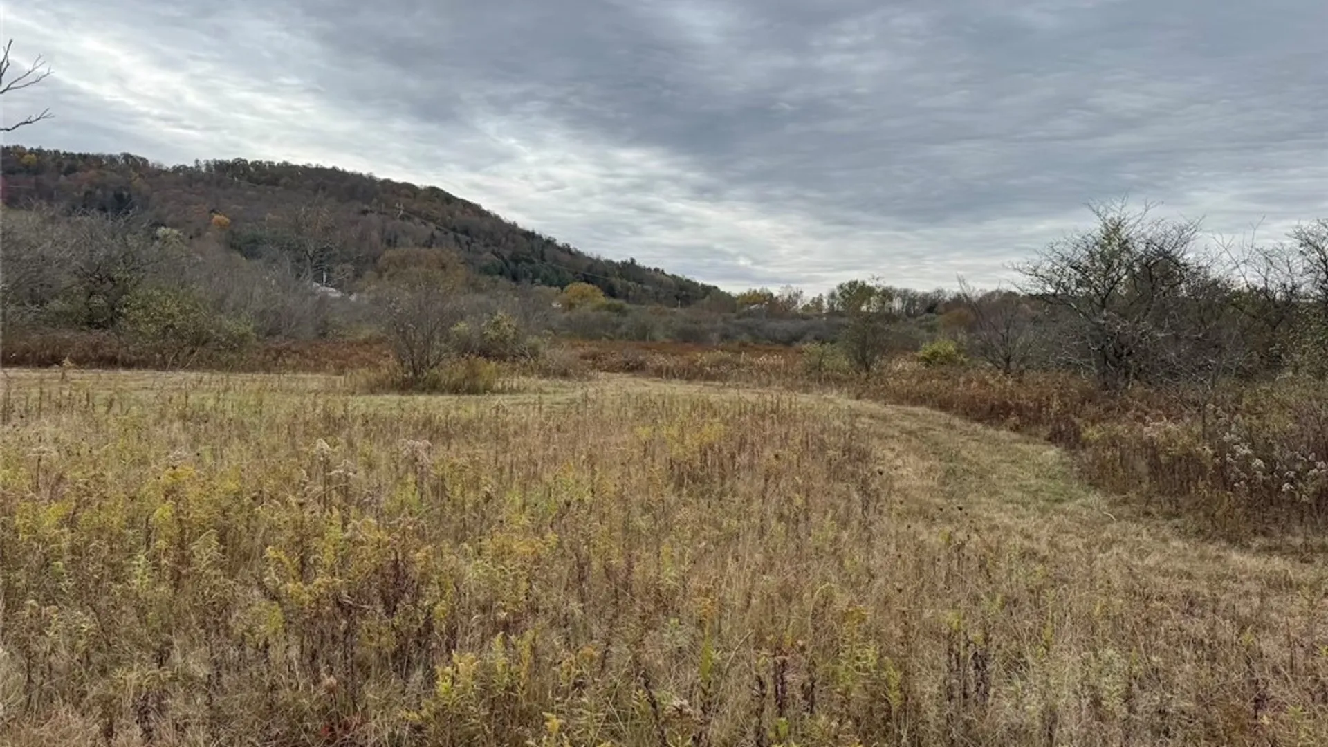 Property at Portville Obi Road, Genesee, NY 14770 29