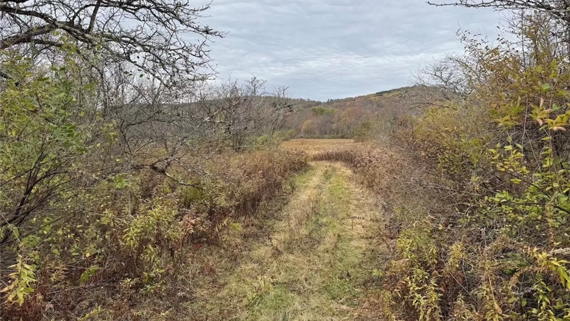 Property at Portville Obi Road, Genesee, NY 14770 8
