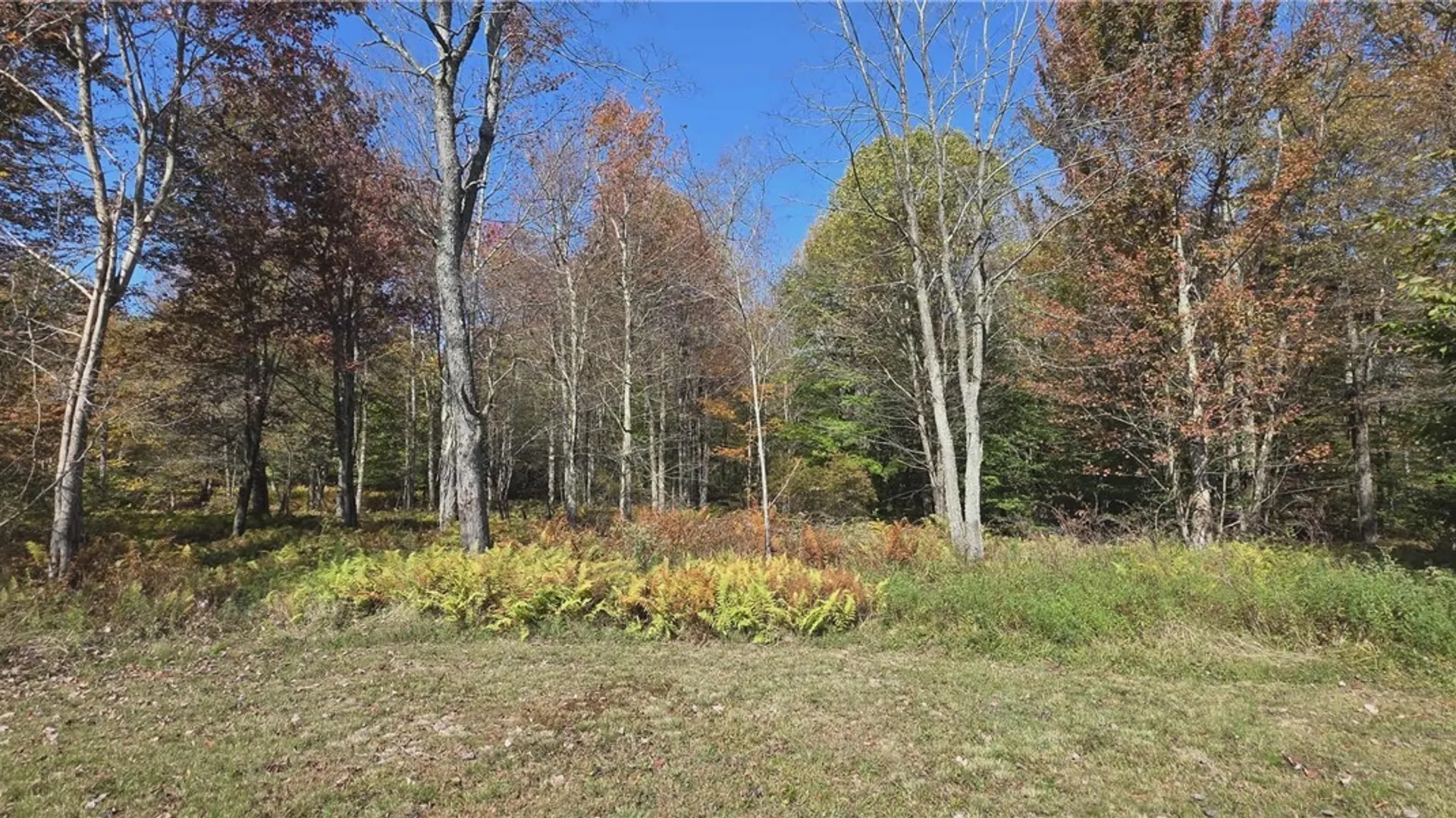 Property at 204 Solitude Forest Drive, German, NY 13040 11