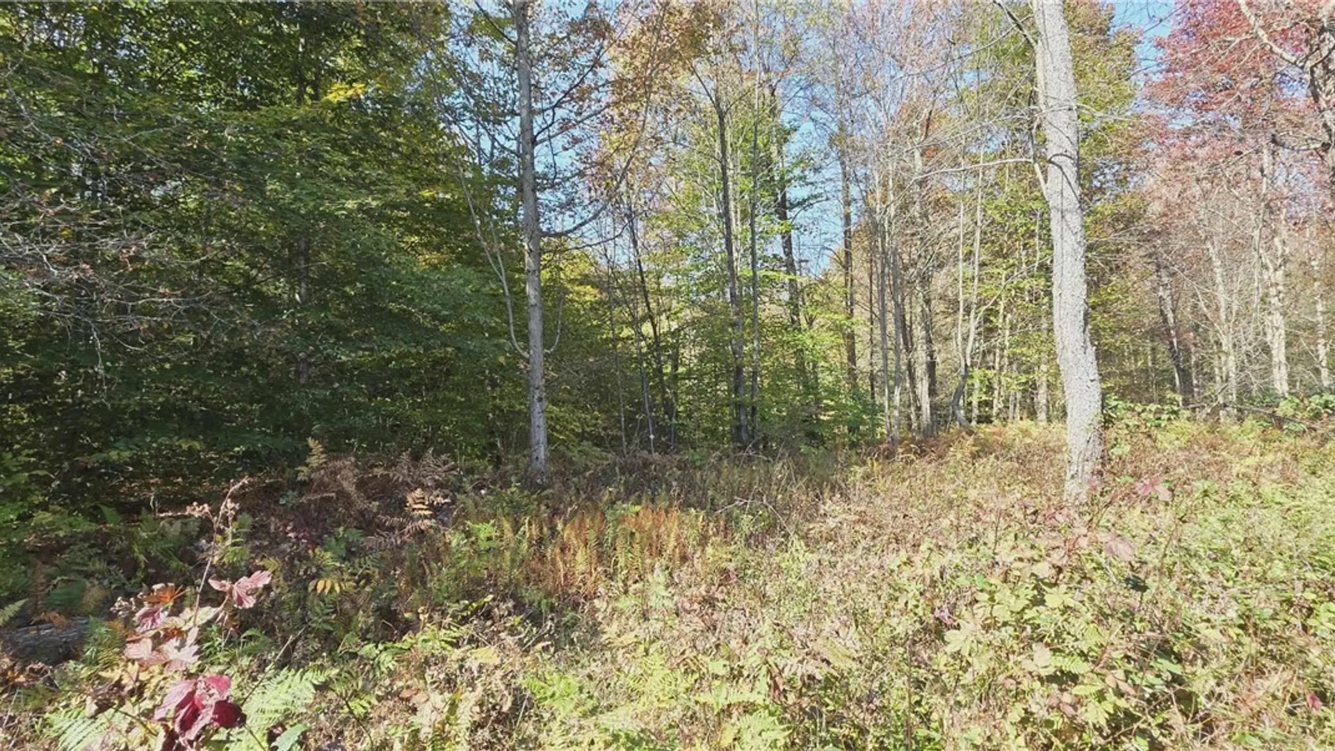 Property at 204 Solitude Forest Drive, German, NY 13040 12