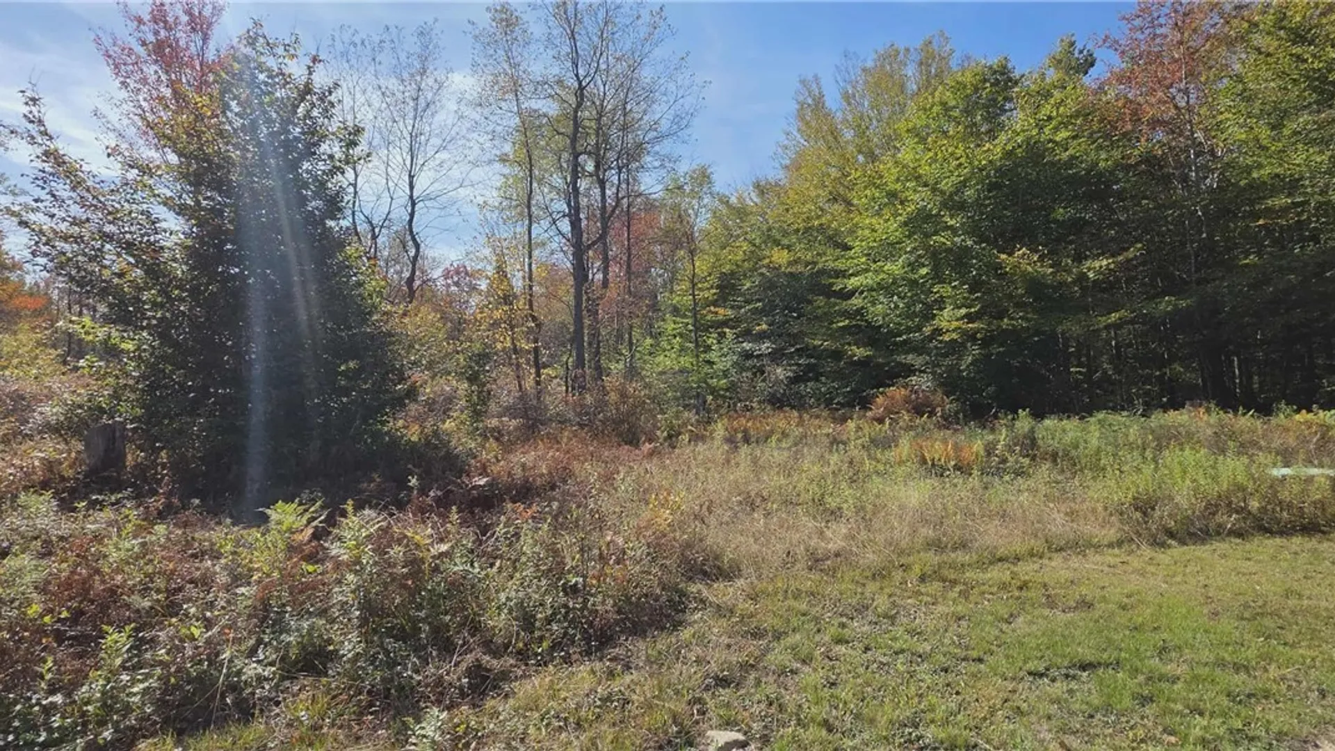 Property at 204 Solitude Forest Drive, German, NY 13040 13