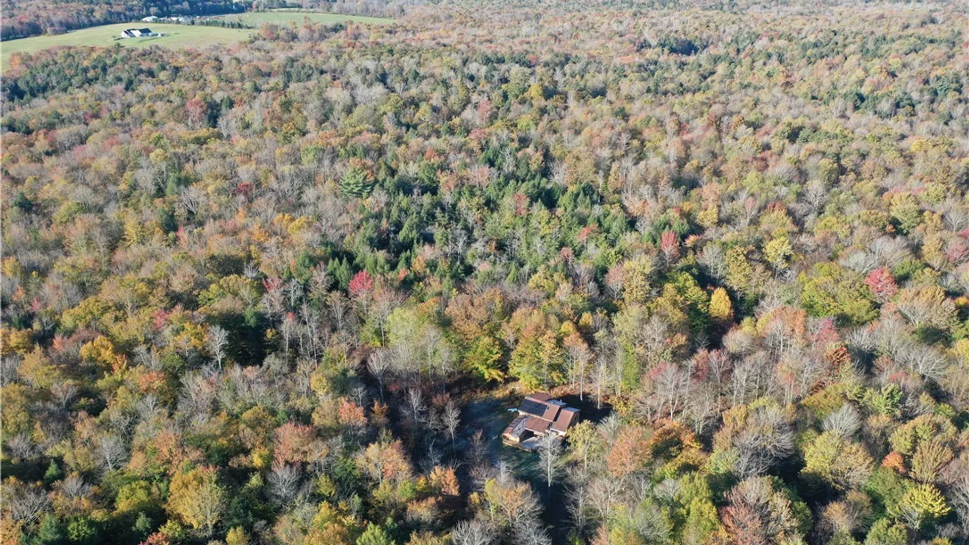 Property at 204 Solitude Forest Drive, German, NY 13040 26