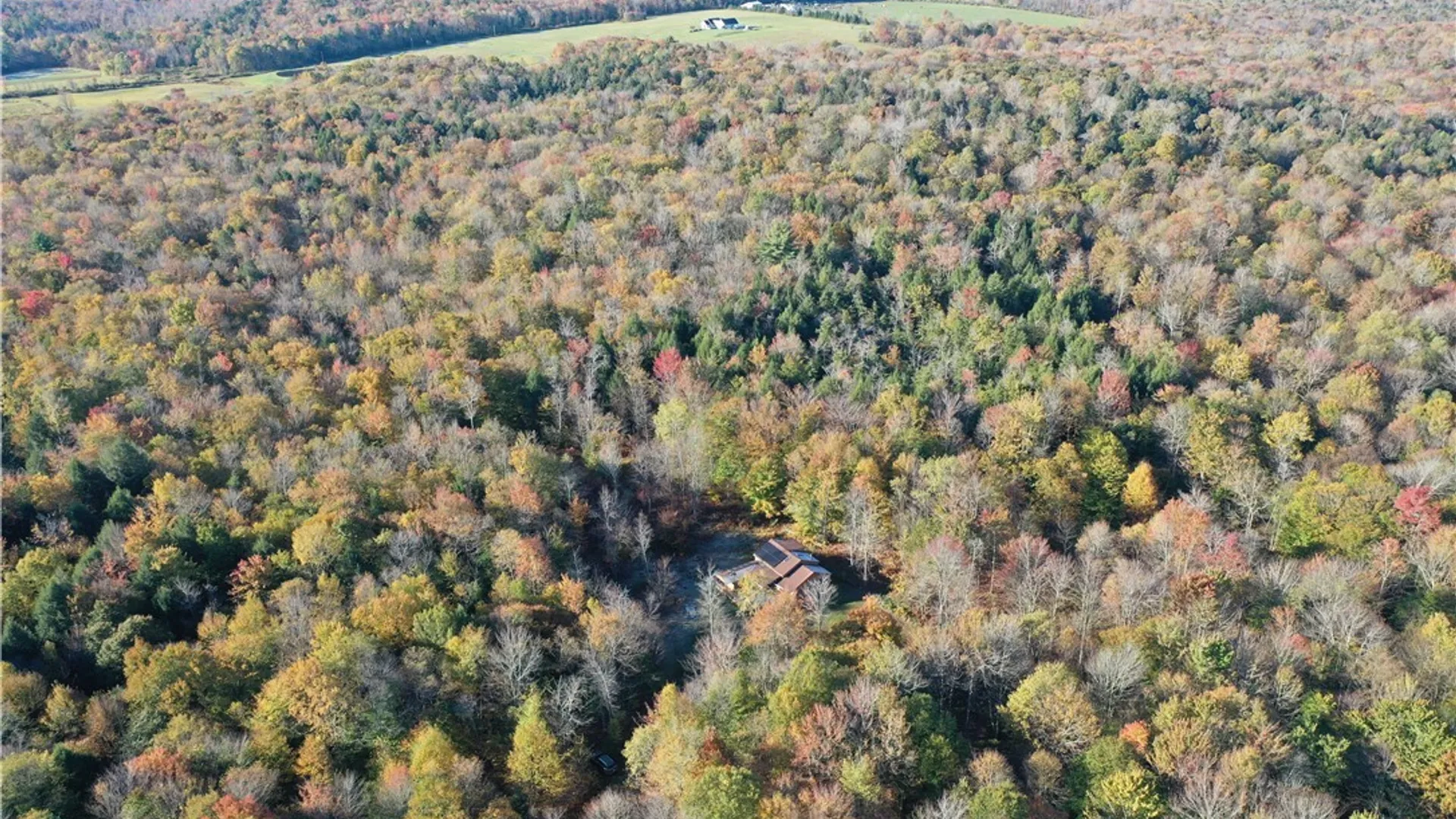 Property at 204 Solitude Forest Drive, German, NY 13040 29