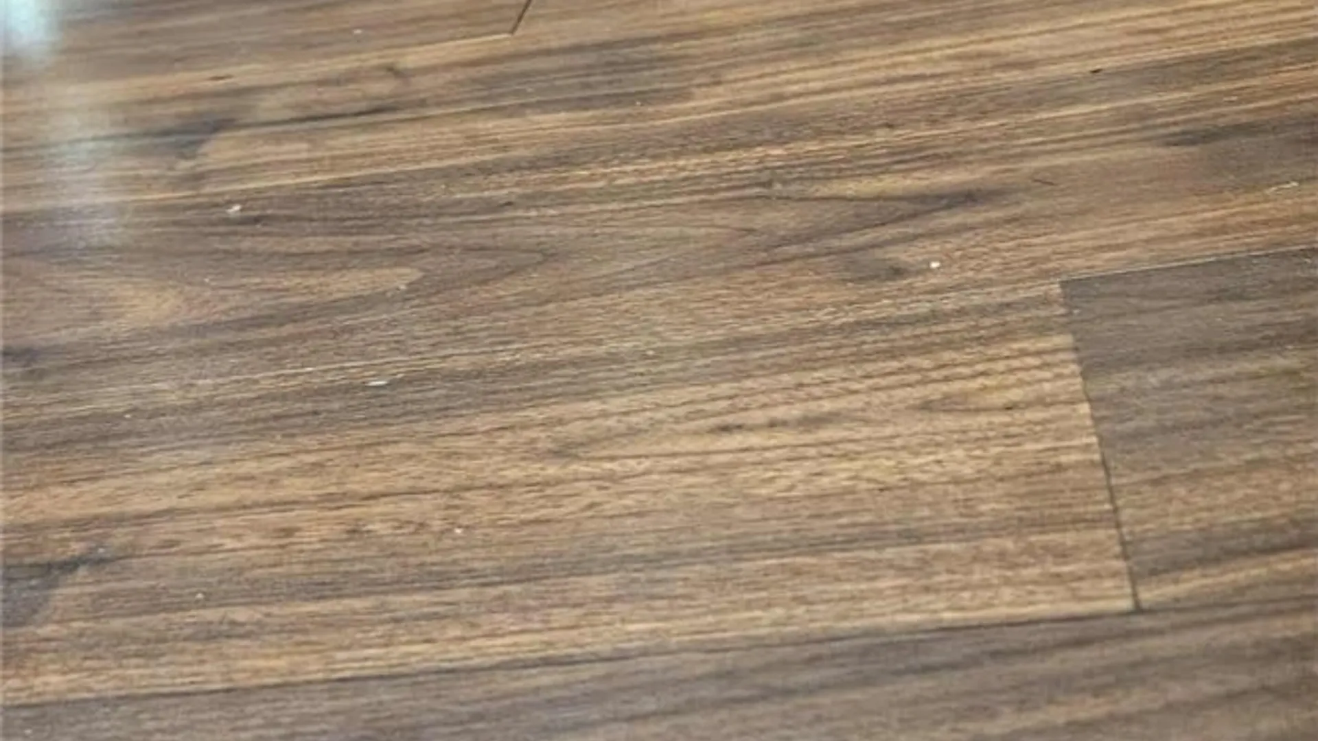 Property at 204 Solitude Forest Drive, German, NY 13040 33