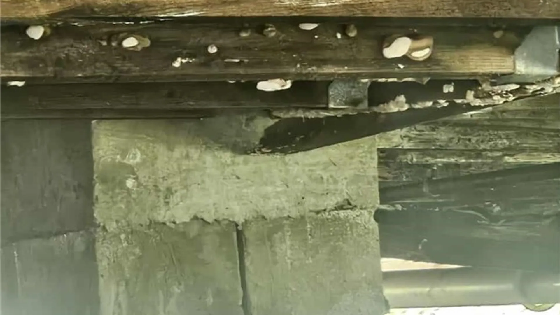 Property at 204 Solitude Forest Drive, German, NY 13040 36