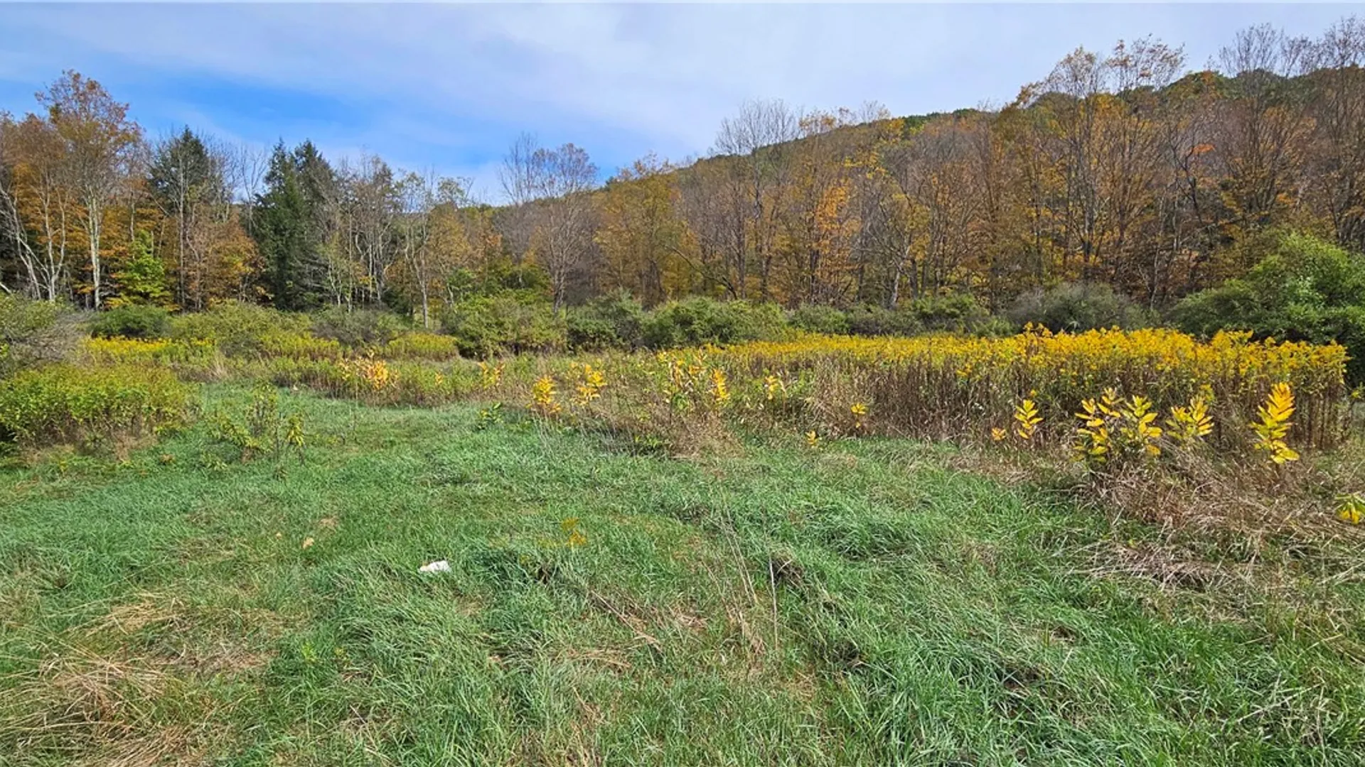 Property at 161 Montgomery Hollow Road, Roxbury, NY 12474 11