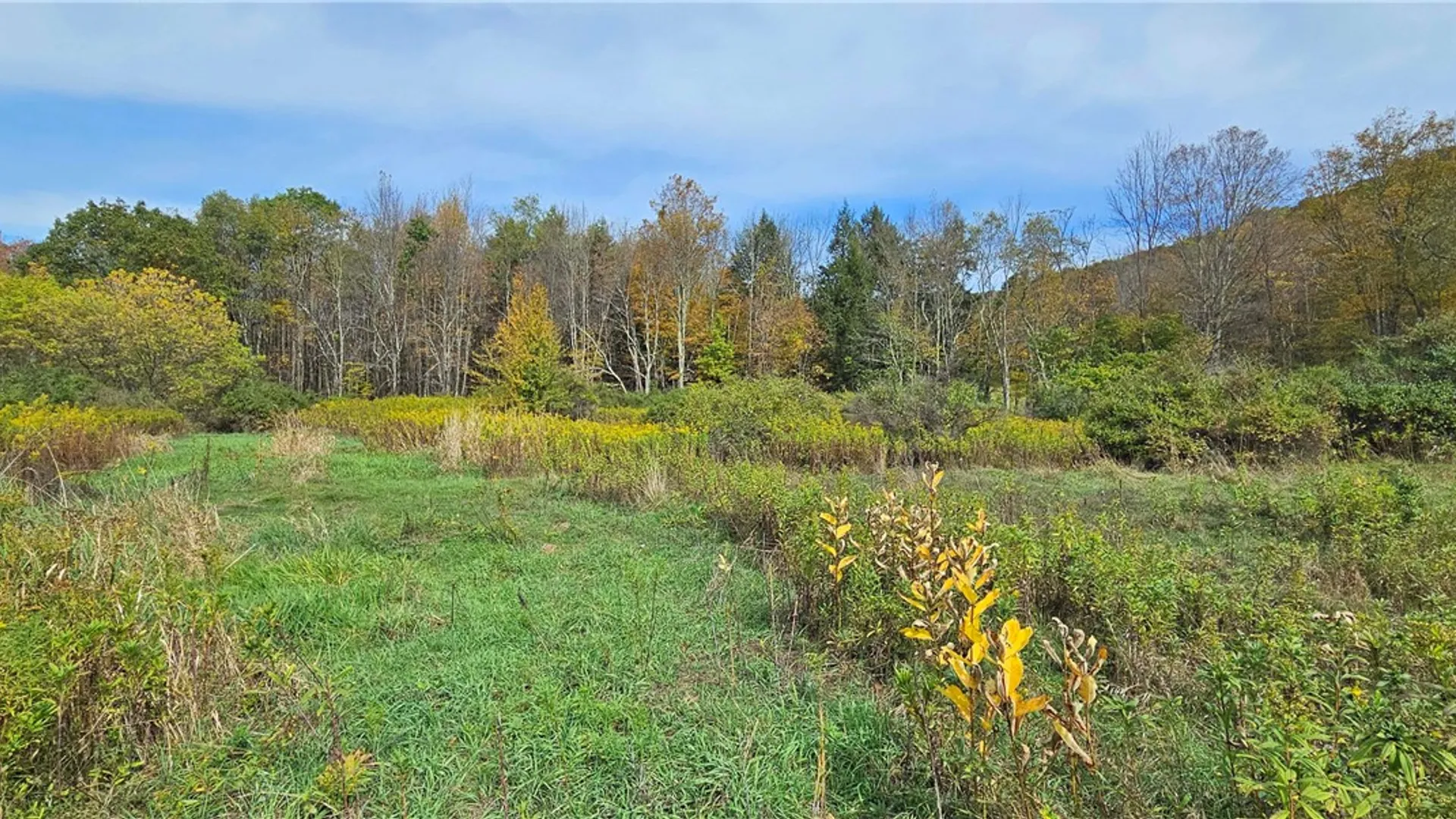 Property at 161 Montgomery Hollow Road, Roxbury, NY 12474 12