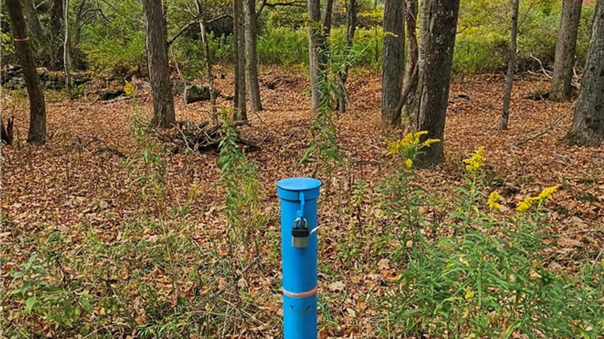 Property at 161 Montgomery Hollow Road, Roxbury, NY 12474 17