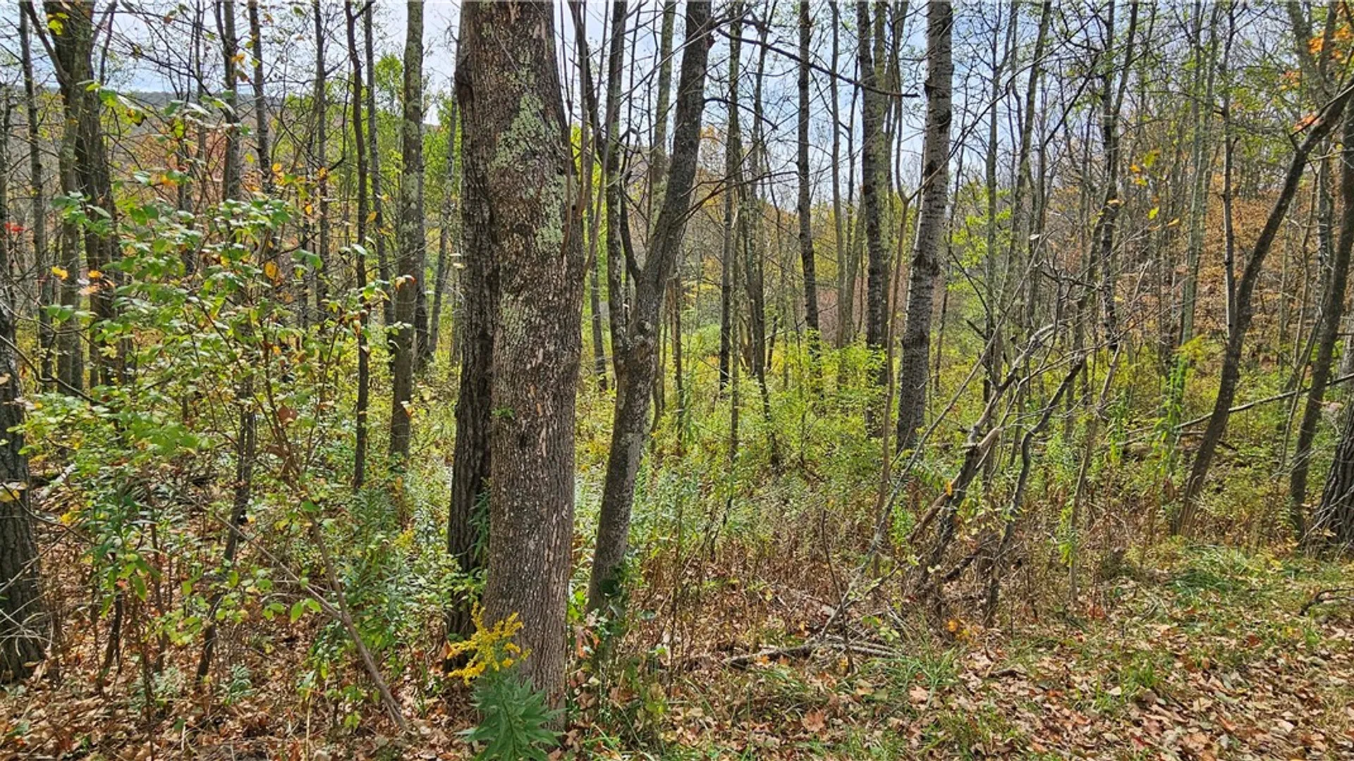 Property at 161 Montgomery Hollow Road, Roxbury, NY 12474 18