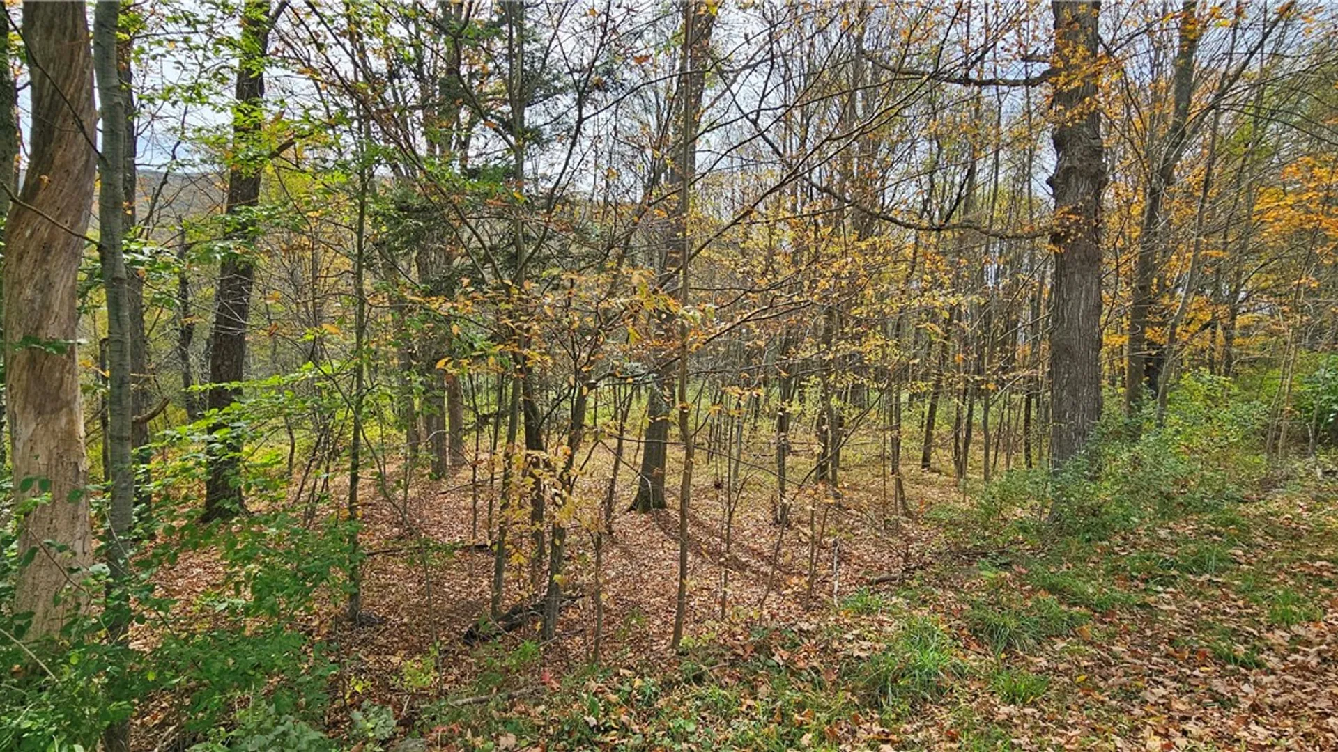 Property at 161 Montgomery Hollow Road, Roxbury, NY 12474 19