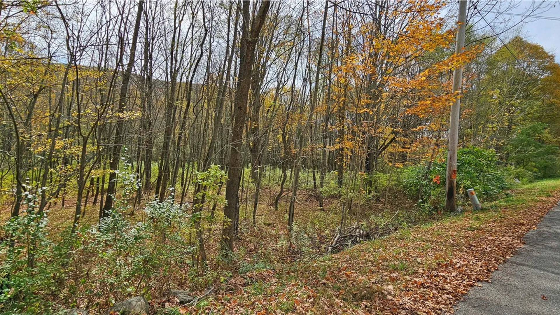 Property at 161 Montgomery Hollow Road, Roxbury, NY 12474 20