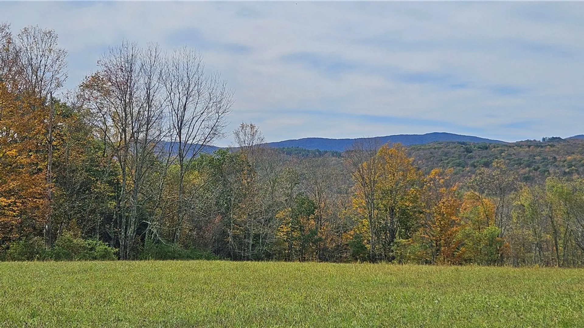 Property at 161 Montgomery Hollow Road, Roxbury, NY 12474 3