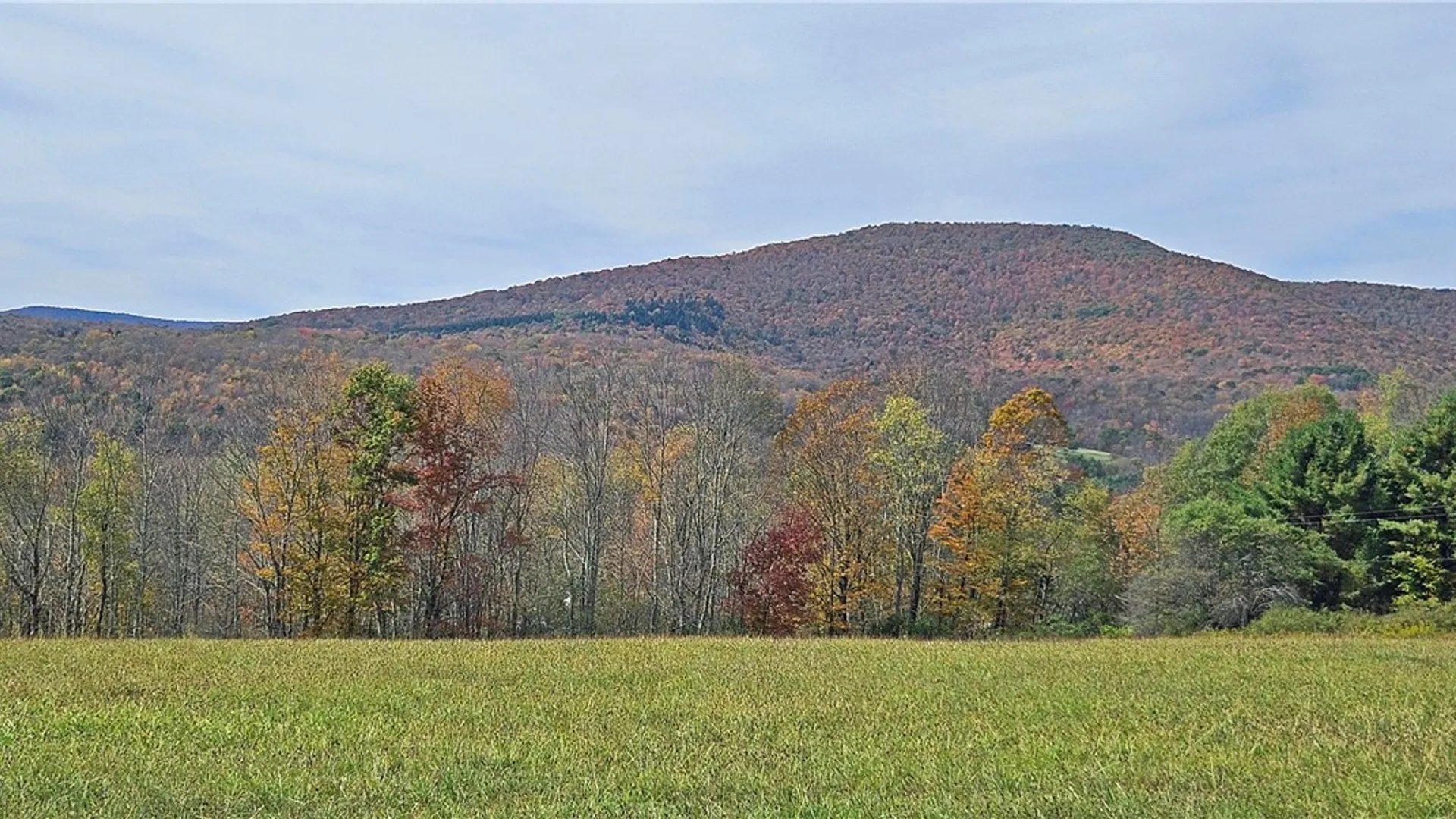 Property at 161 Montgomery Hollow Road, Roxbury, NY 12474 4