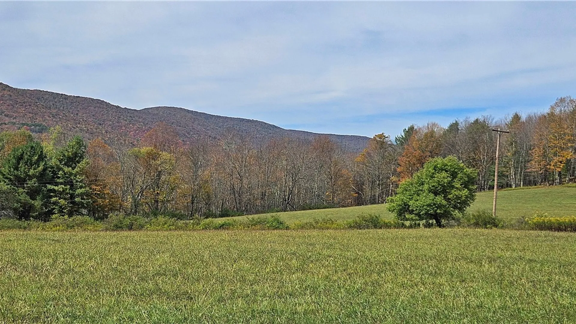 Property at 161 Montgomery Hollow Road, Roxbury, NY 12474 5