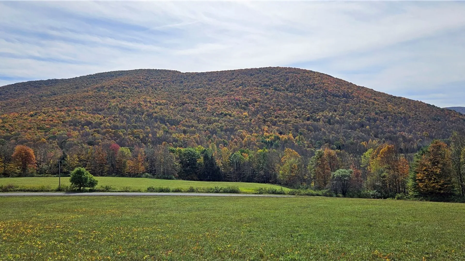 Property at 161 Montgomery Hollow Road, Roxbury, NY 12474 6