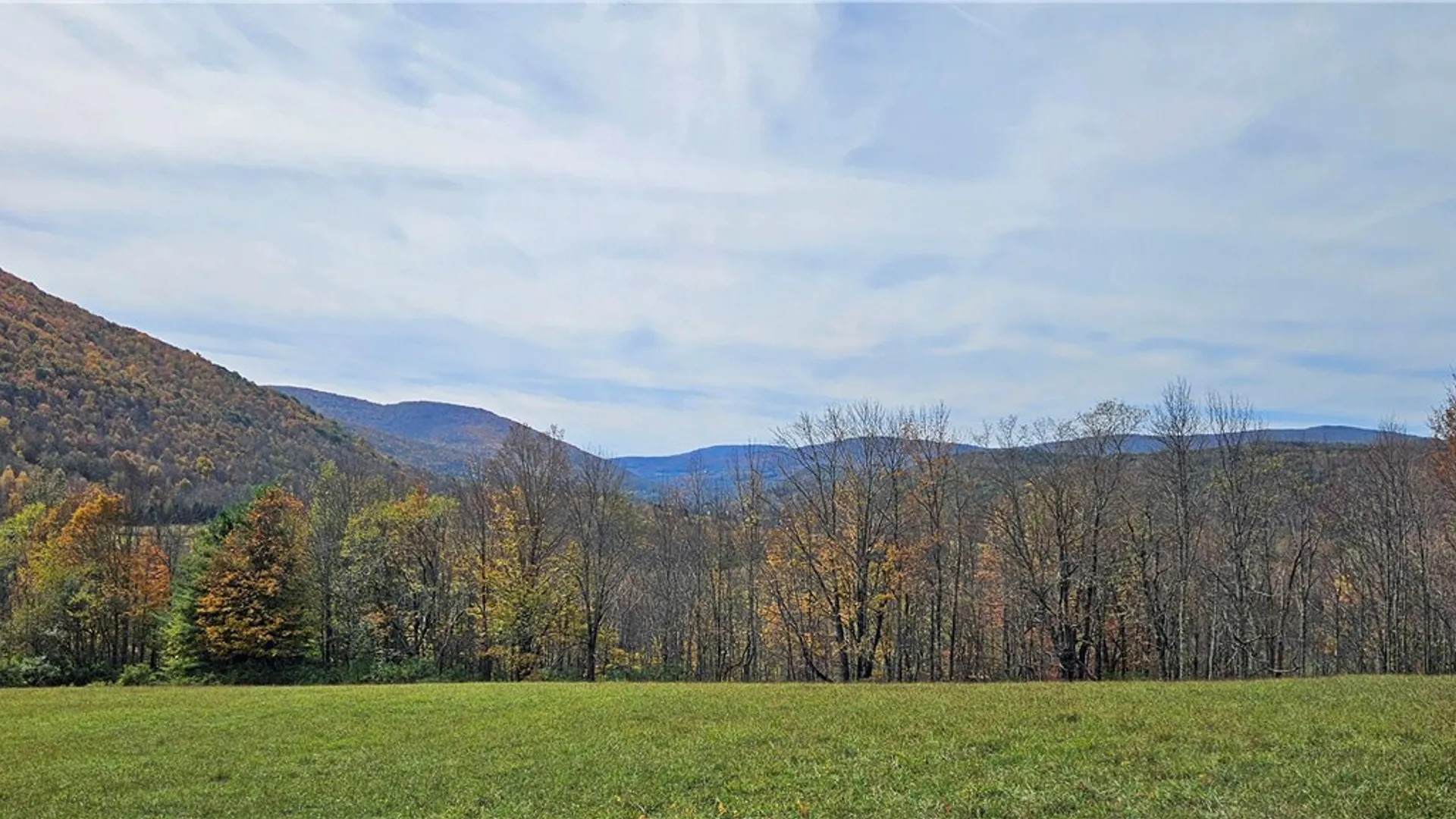 Property at 161 Montgomery Hollow Road, Roxbury, NY 12474 7