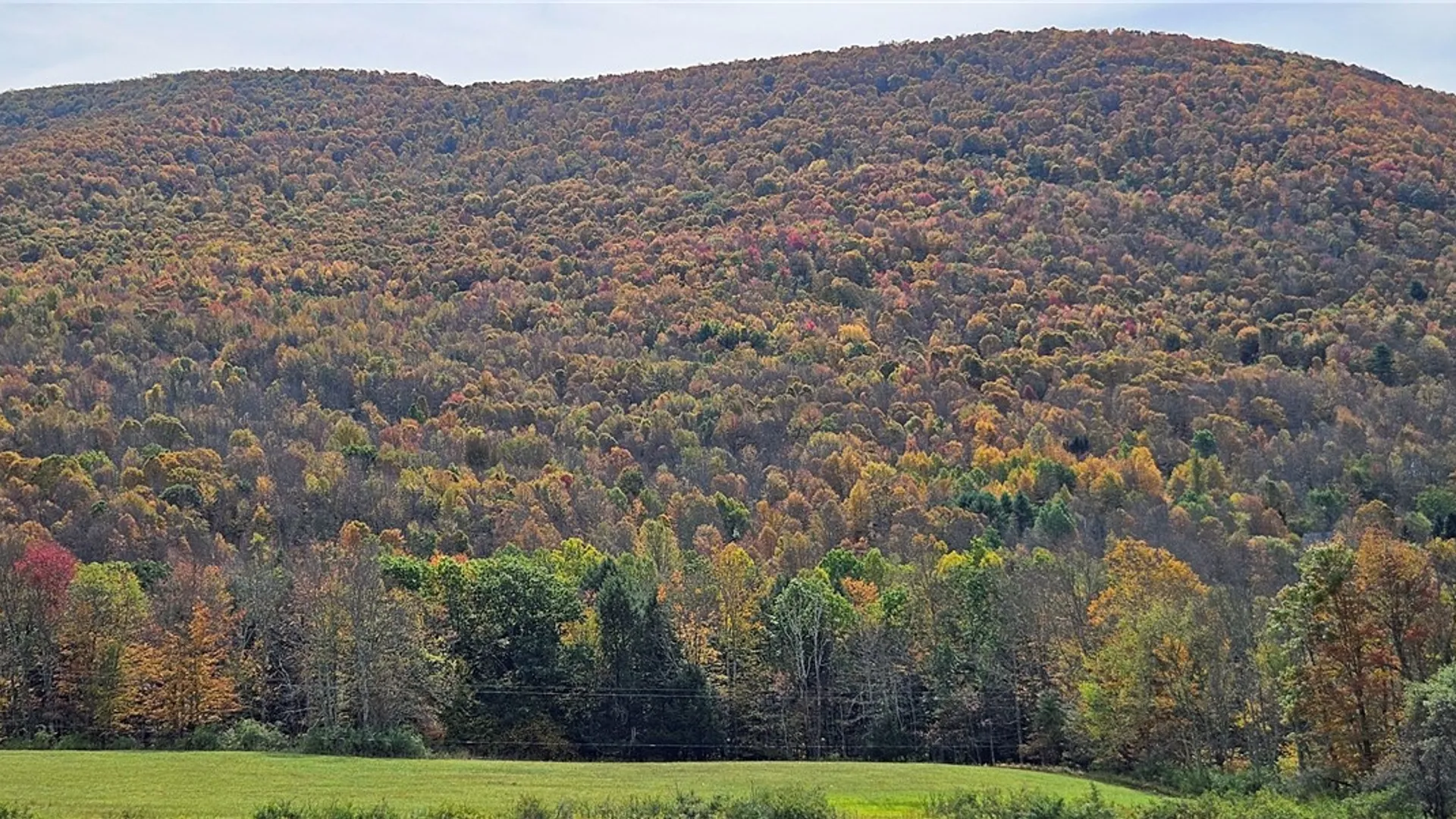 Property at 161 Montgomery Hollow Road, Roxbury, NY 12474 9