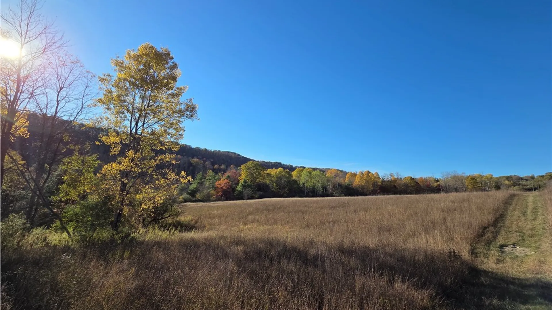 Property at 147 Clark Hollow Road, Southport, NY 14871 10