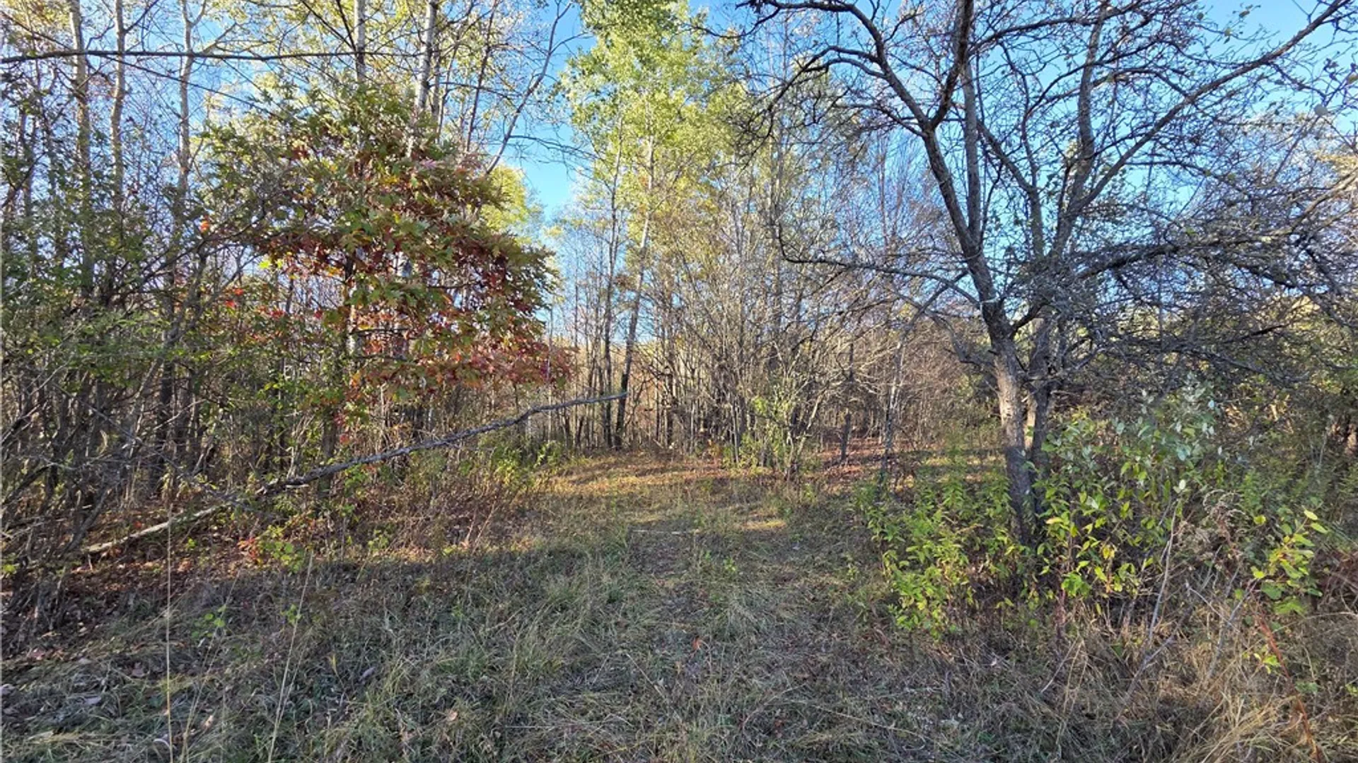 Property at 147 Clark Hollow Road, Southport, NY 14871 16