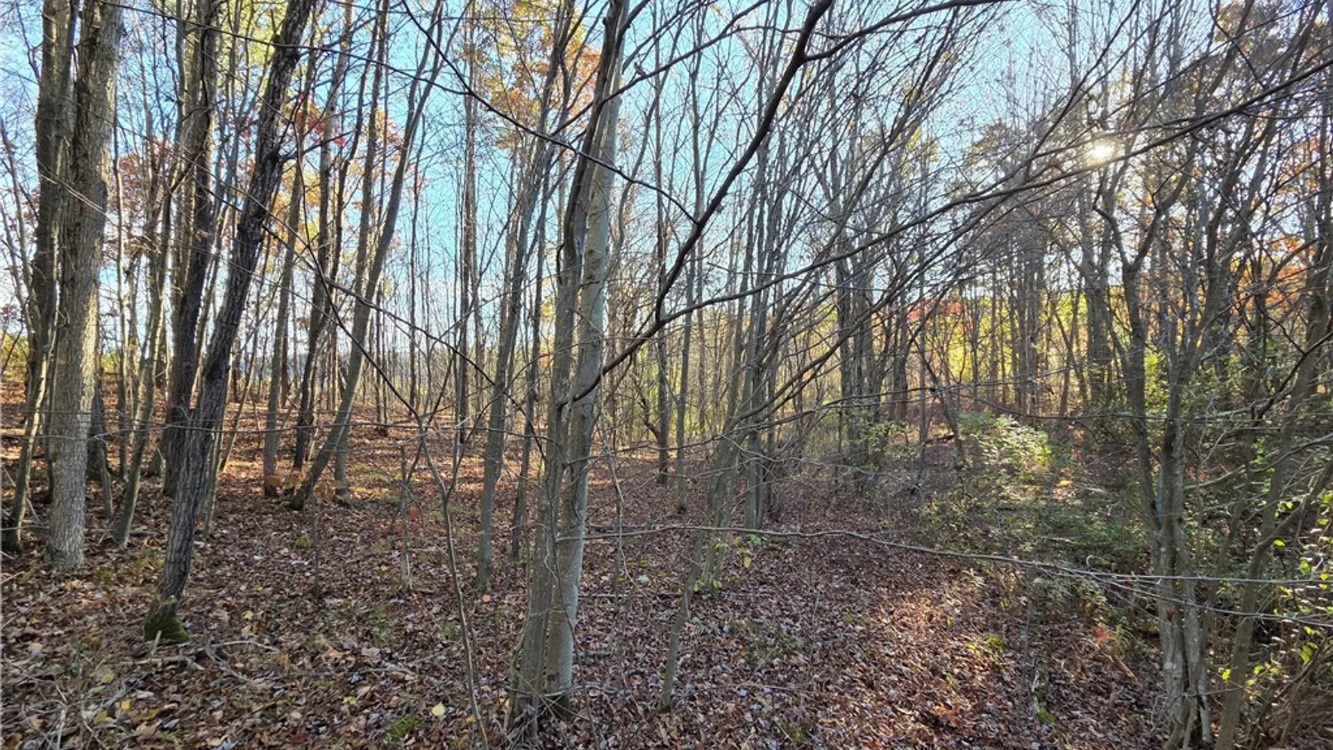 Property at 147 Clark Hollow Road, Southport, NY 14871 17