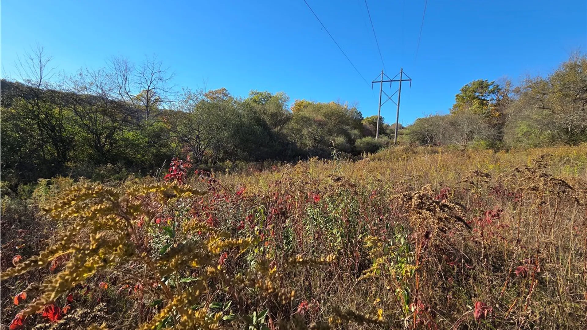 Property at 147 Clark Hollow Road, Southport, NY 14871 24