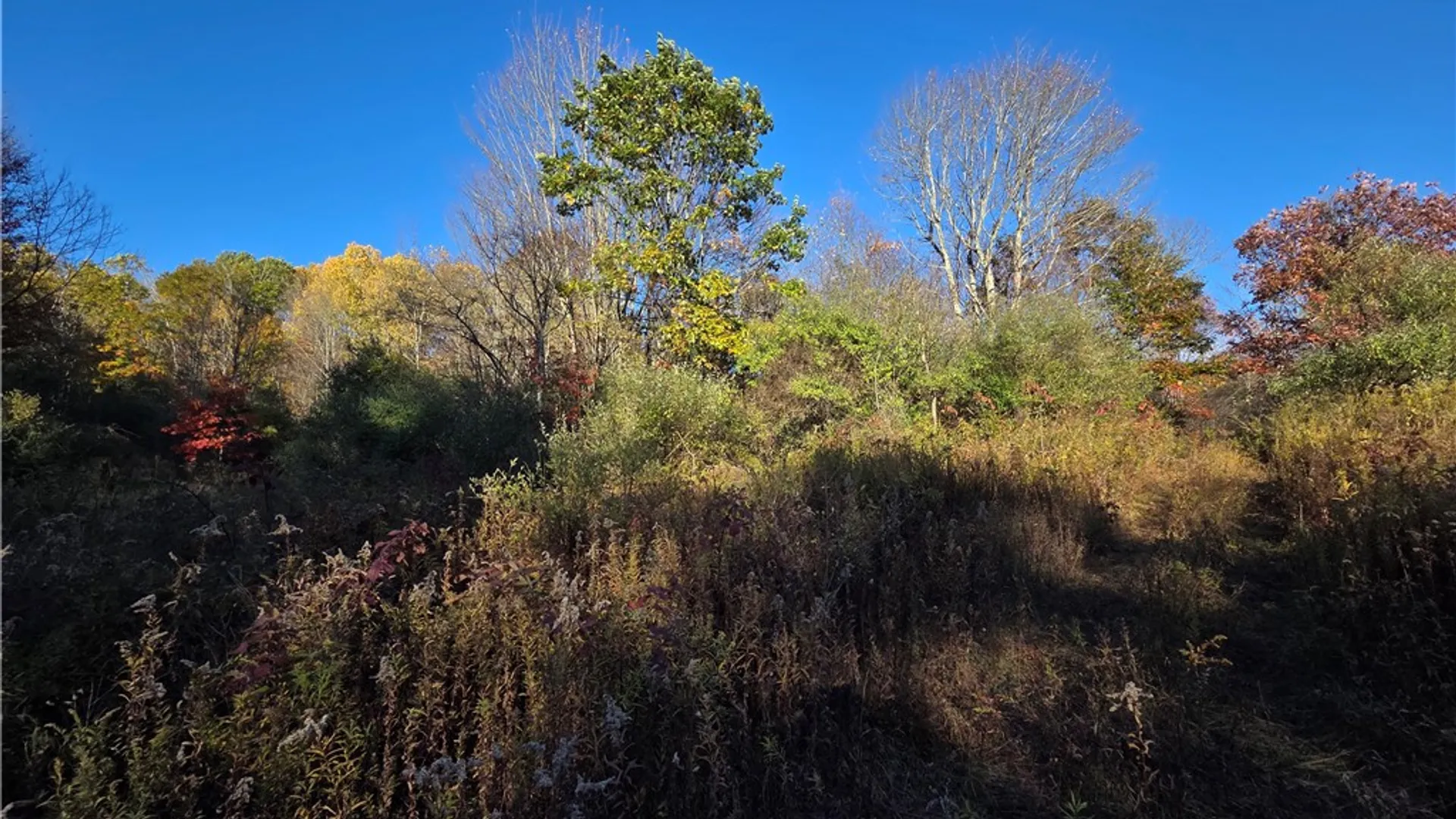 Property at 147 Clark Hollow Road, Southport, NY 14871 26
