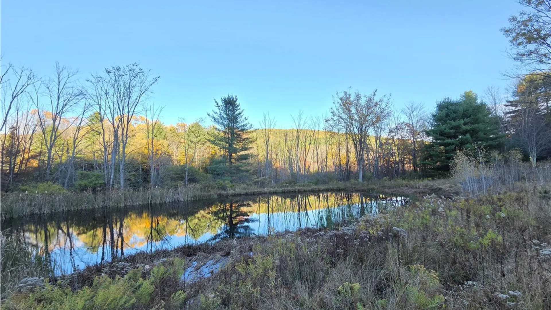 Property at 147 Clark Hollow Road, Southport, NY 14871 31