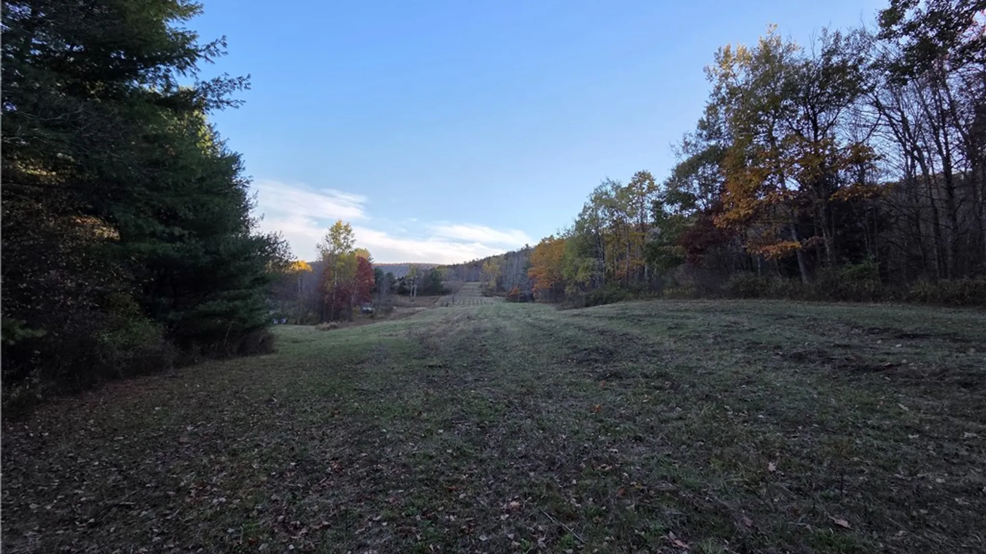 Property at 147 Clark Hollow Road, Southport, NY 14871 41