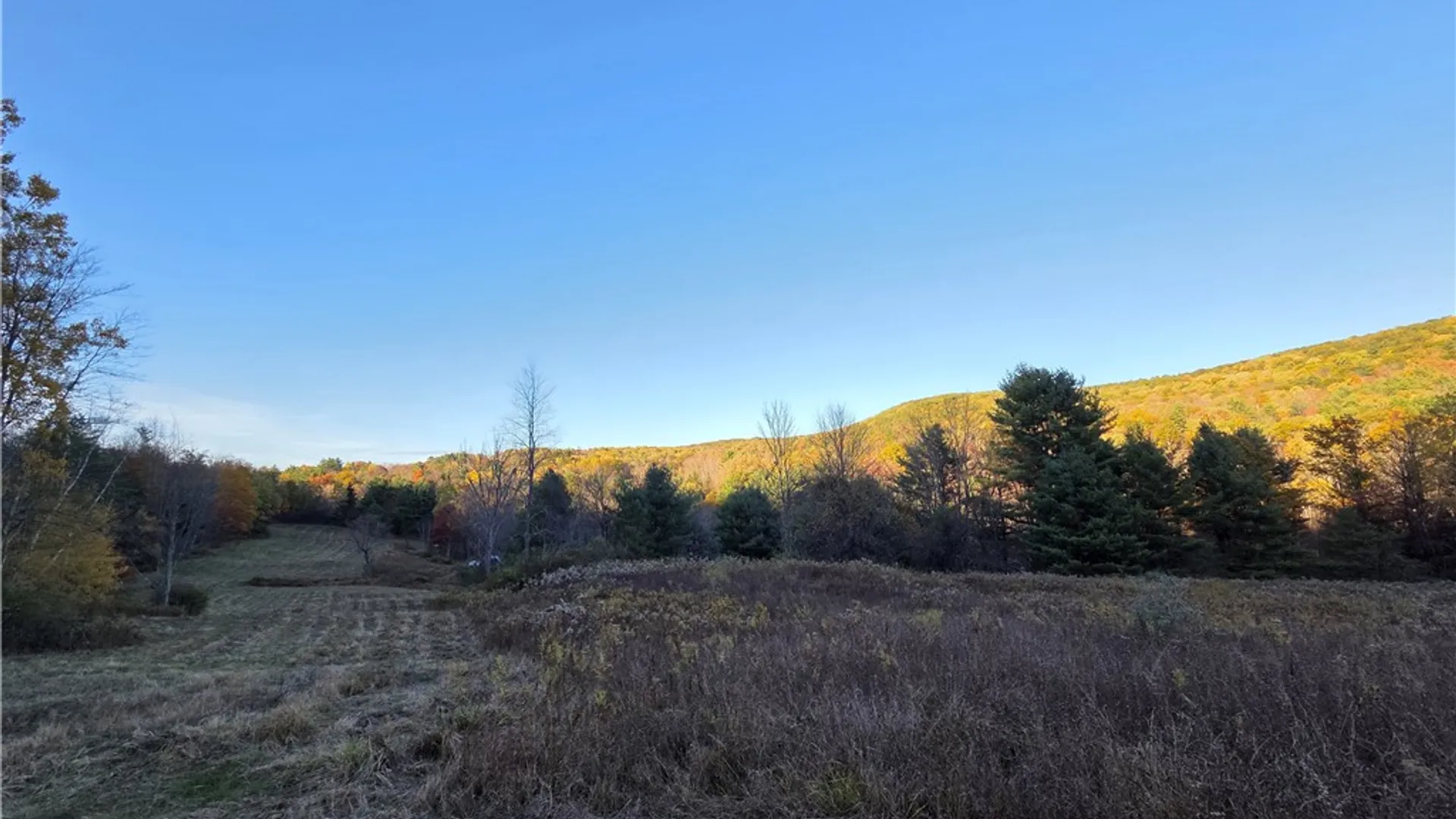 Property at 147 Clark Hollow Road, Southport, NY 14871 44