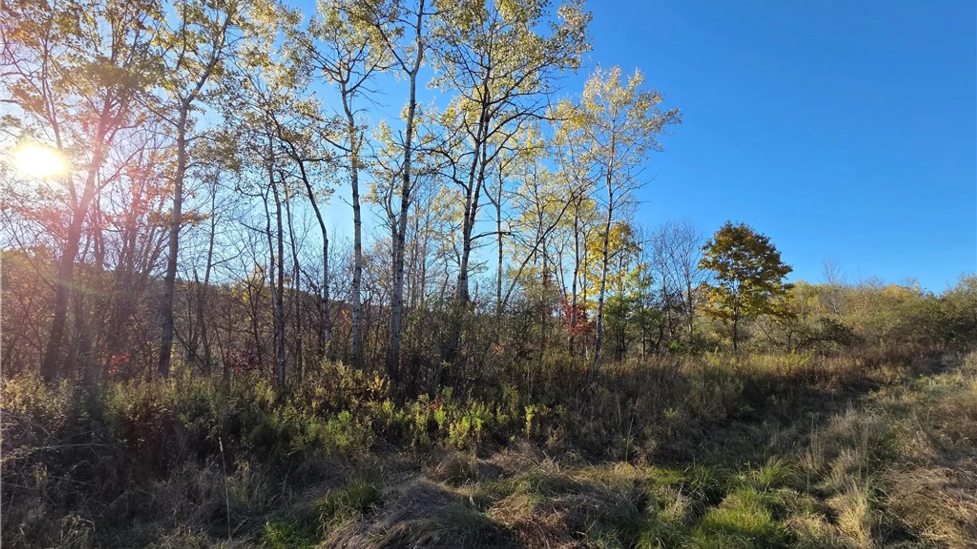 Property at 147 Clark Hollow Road, Southport, NY 14871 5