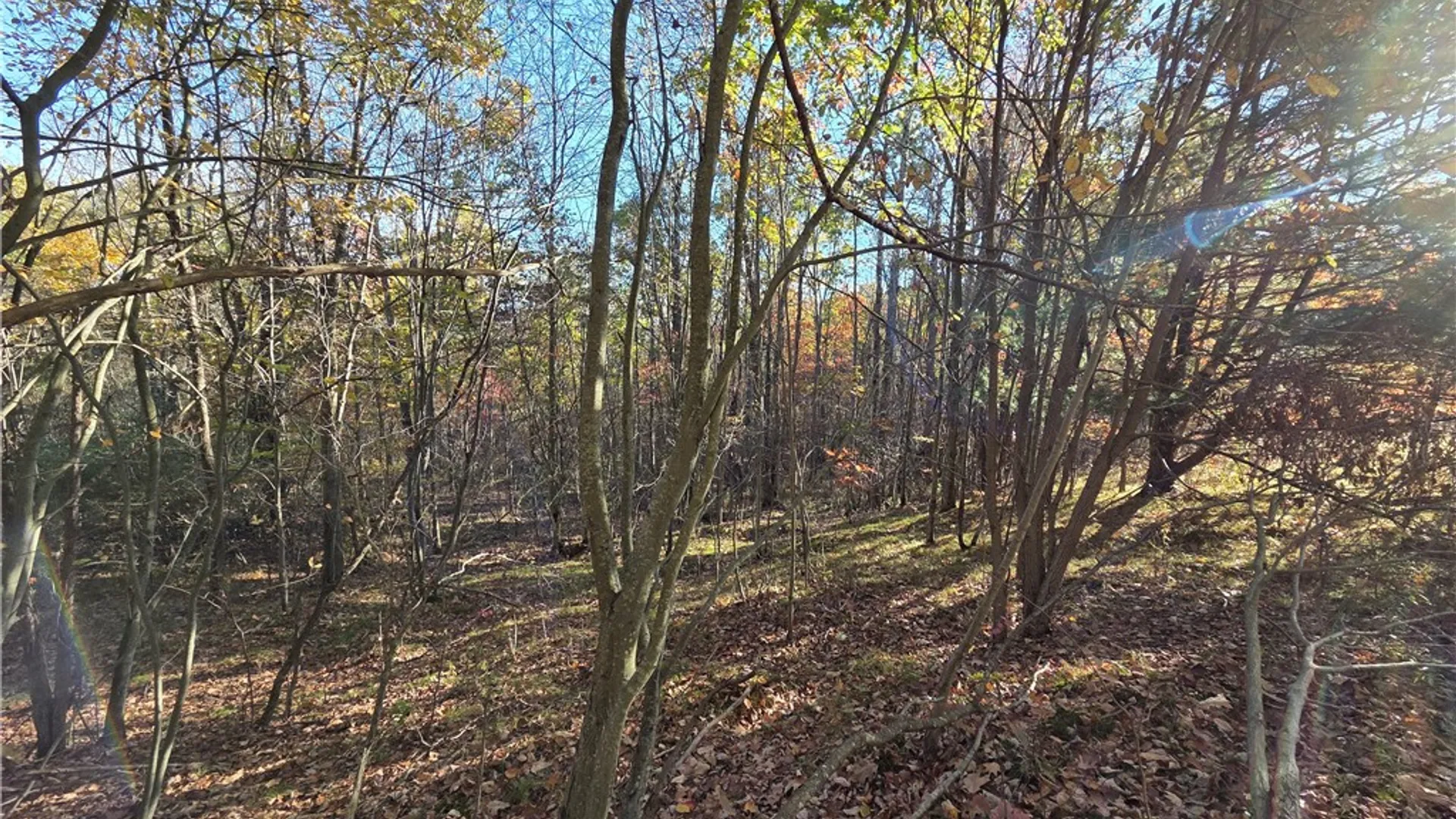 Property at 147 Clark Hollow Road, Southport, NY 14871 7