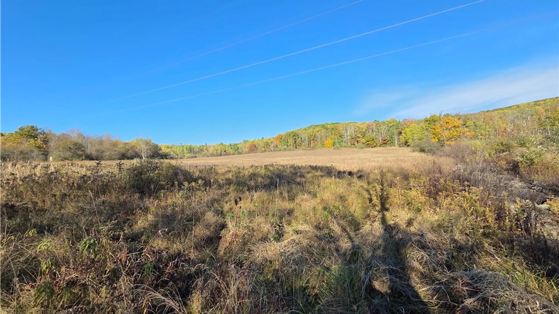 Property at 147 Clark Hollow Road, Southport, NY 14871 8