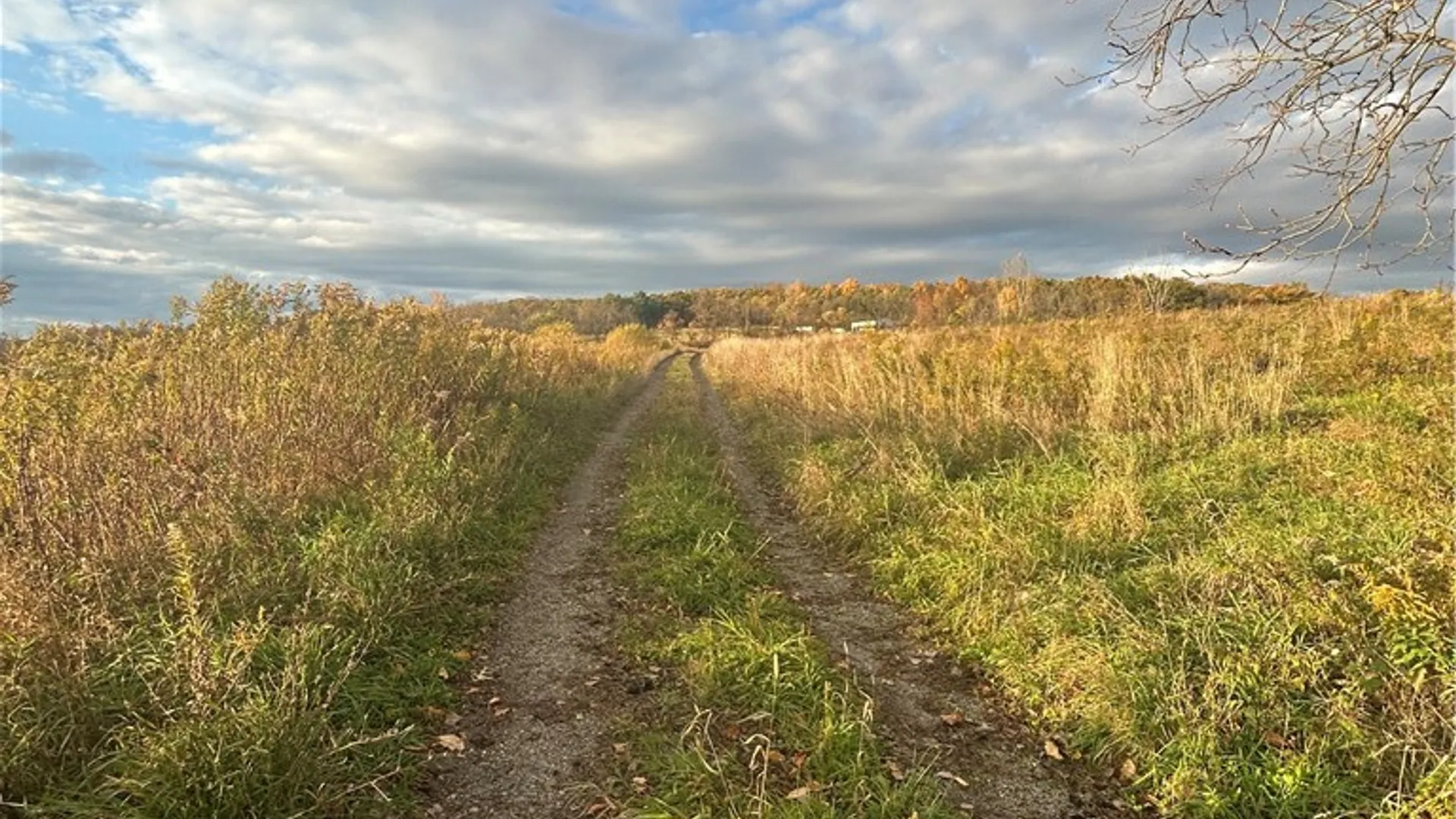 Property at Mills Road Road, Montour, NY 14865 7