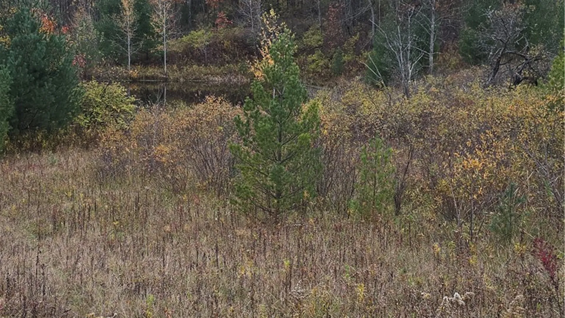 Property at Hardknocks Road, Unadilla, NY 13849 11