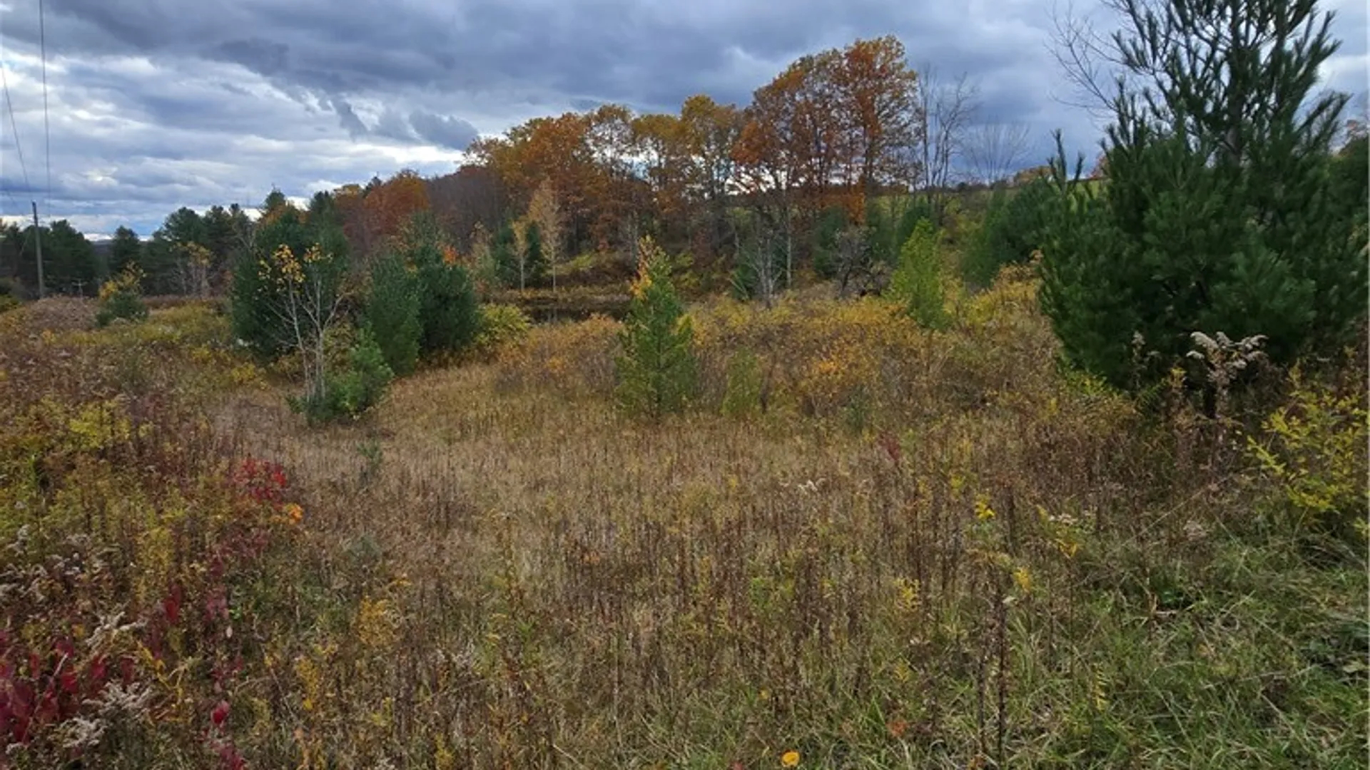 Property at Hardknocks Road, Unadilla, NY 13849 12