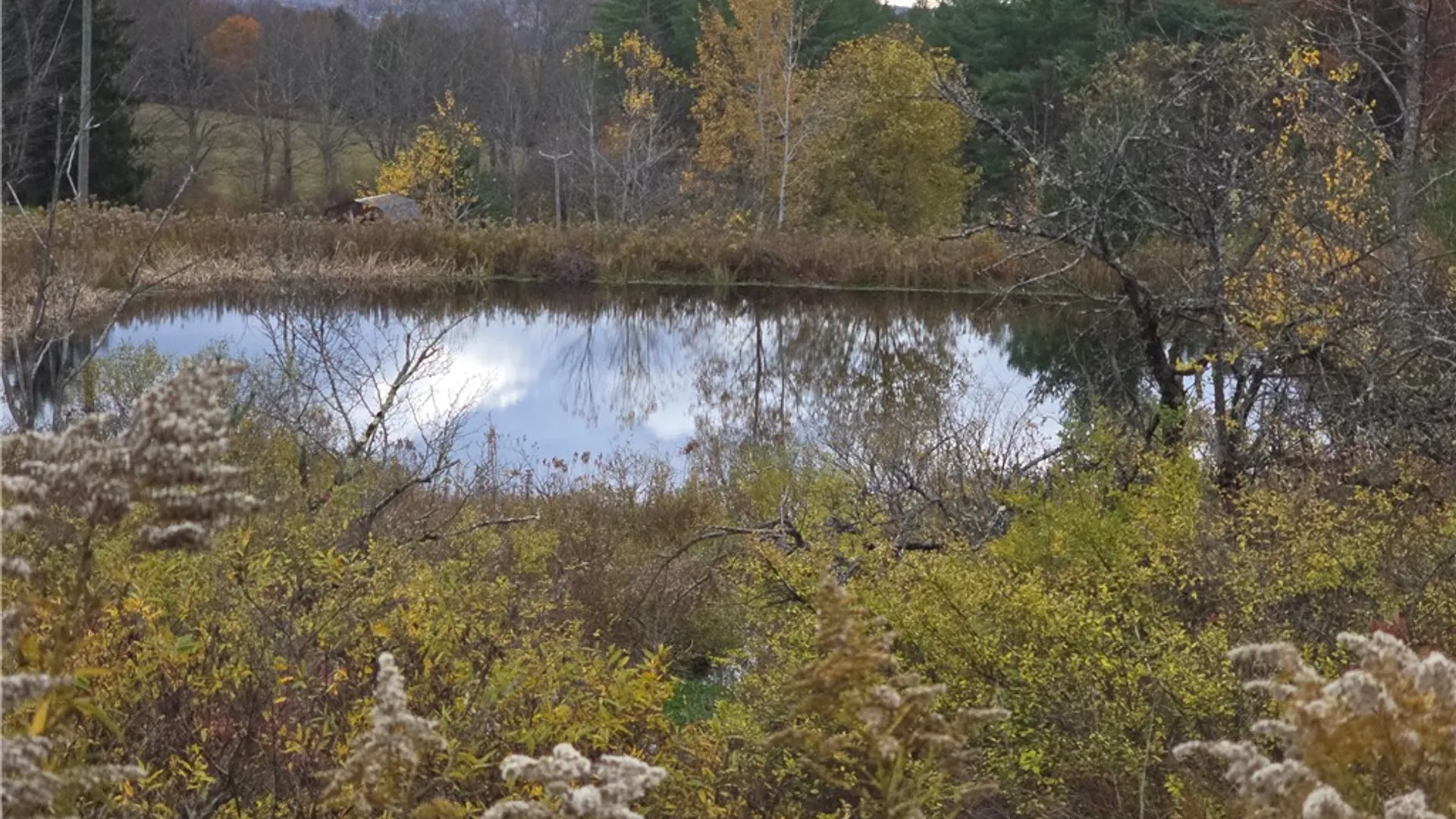 Property at Hardknocks Road, Unadilla, NY 13849 14