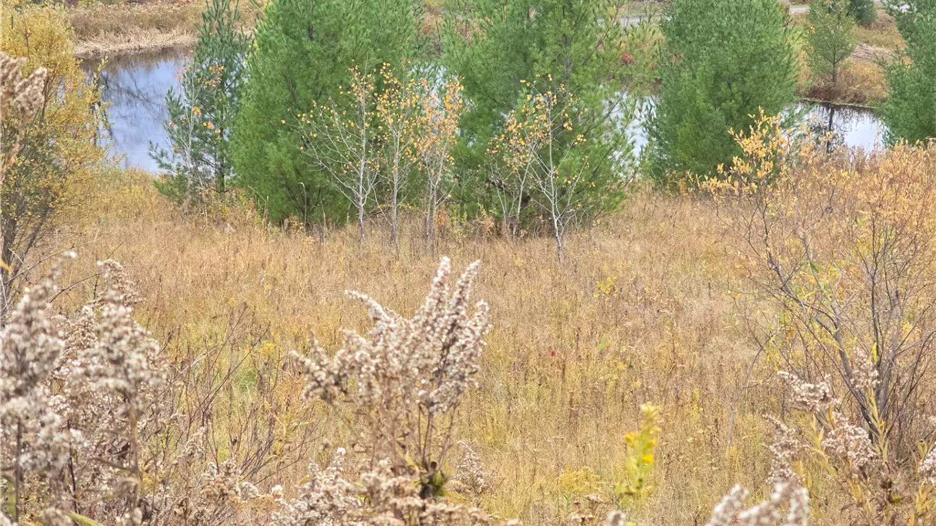 Property at Hardknocks Road, Unadilla, NY 13849 15