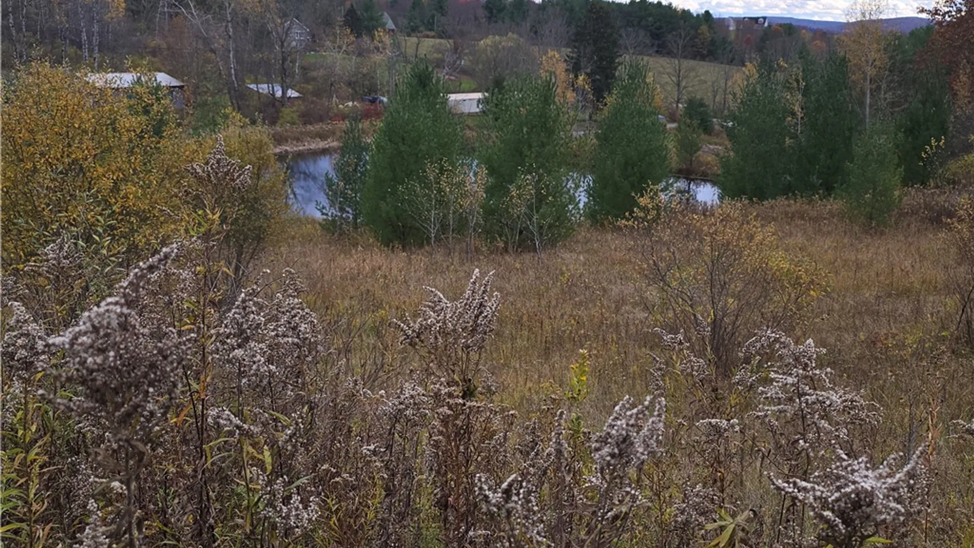 Property at Hardknocks Road, Unadilla, NY 13849 16