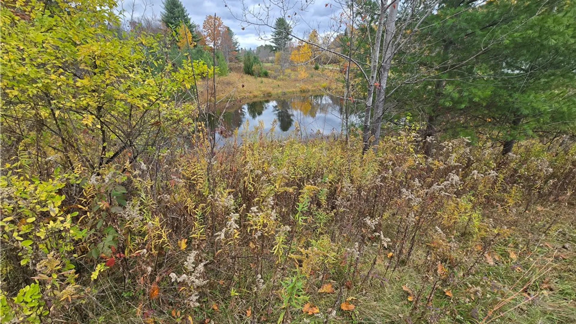 Property at Hardknocks Road, Unadilla, NY 13849 7