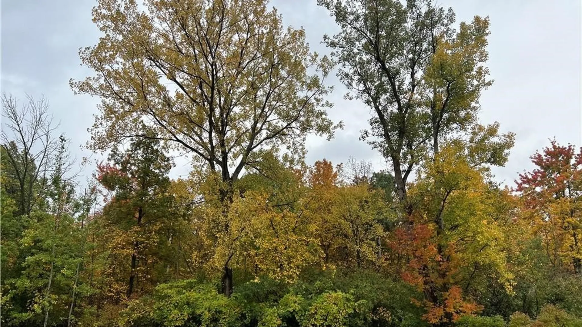 Property at VL Milestrip Road, Hamburg, NY 14219 2