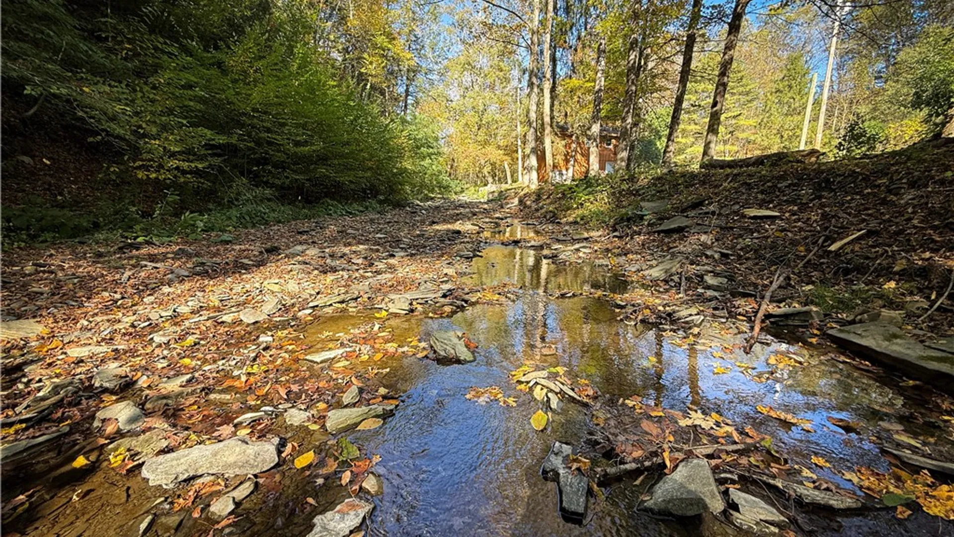 Property at 920 Carter Creek Road, Newfield, NY 14867 27
