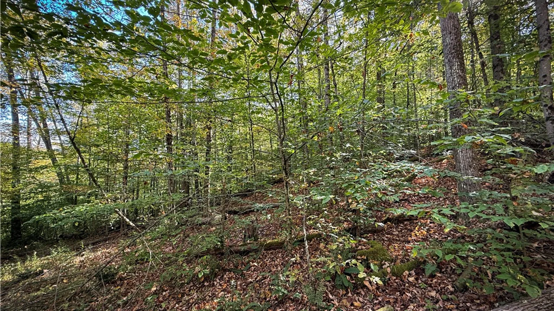 Property at 920 Carter Creek Road, Newfield, NY 14867 32