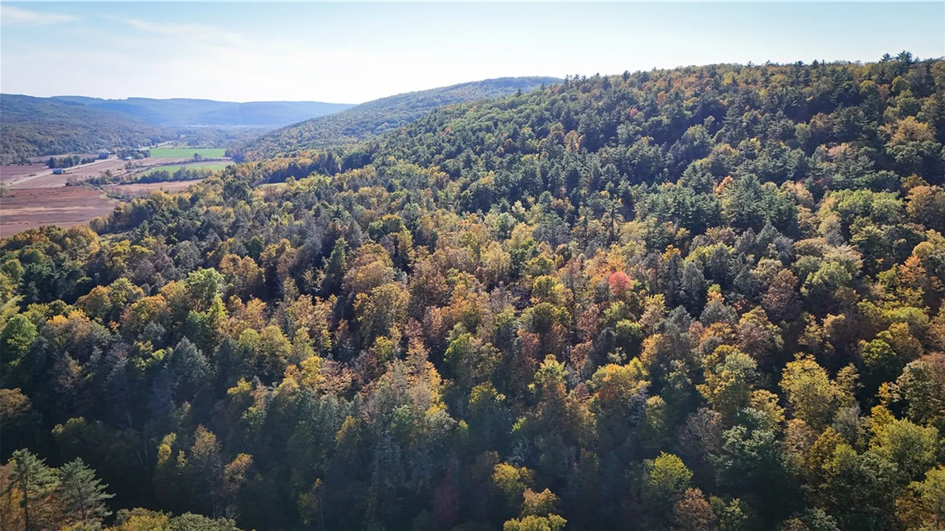 Property at 920 Carter Creek Road, Newfield, NY 14867 35