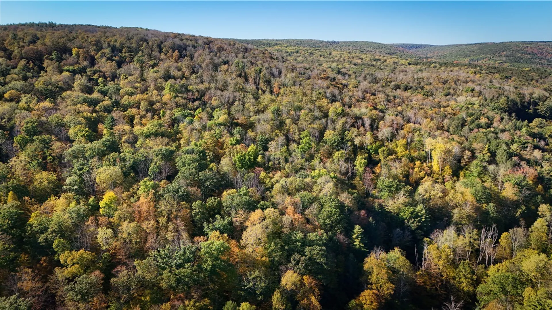 Property at 920 Carter Creek Road, Newfield, NY 14867 36