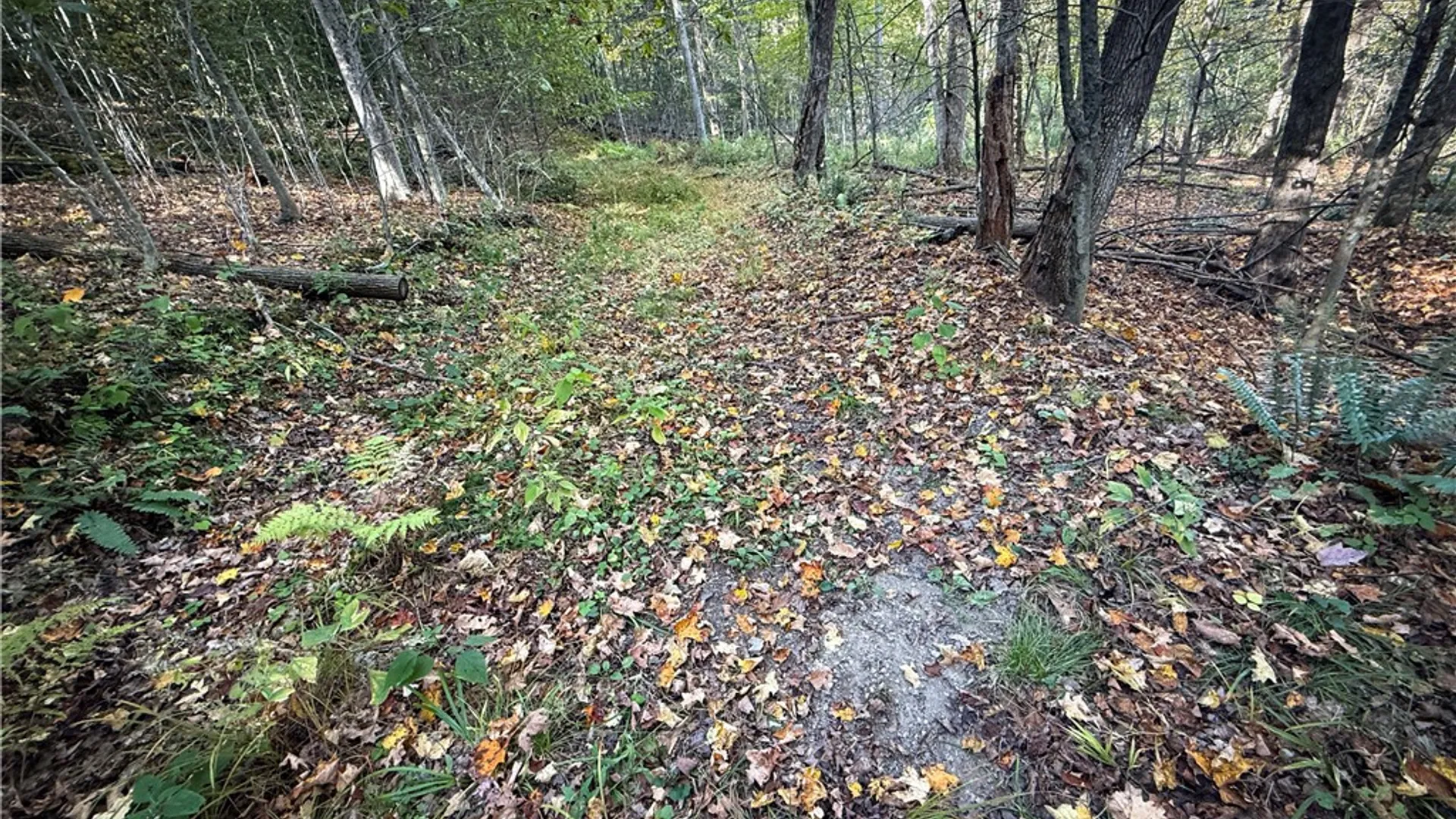 Property at 920 Carter Creek Road, Newfield, NY 14867 40