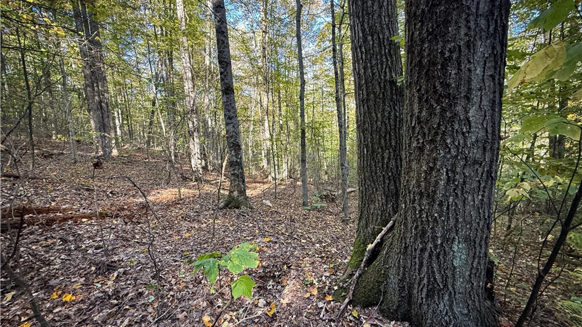 Property at 920 Carter Creek Road, Newfield, NY 14867 41