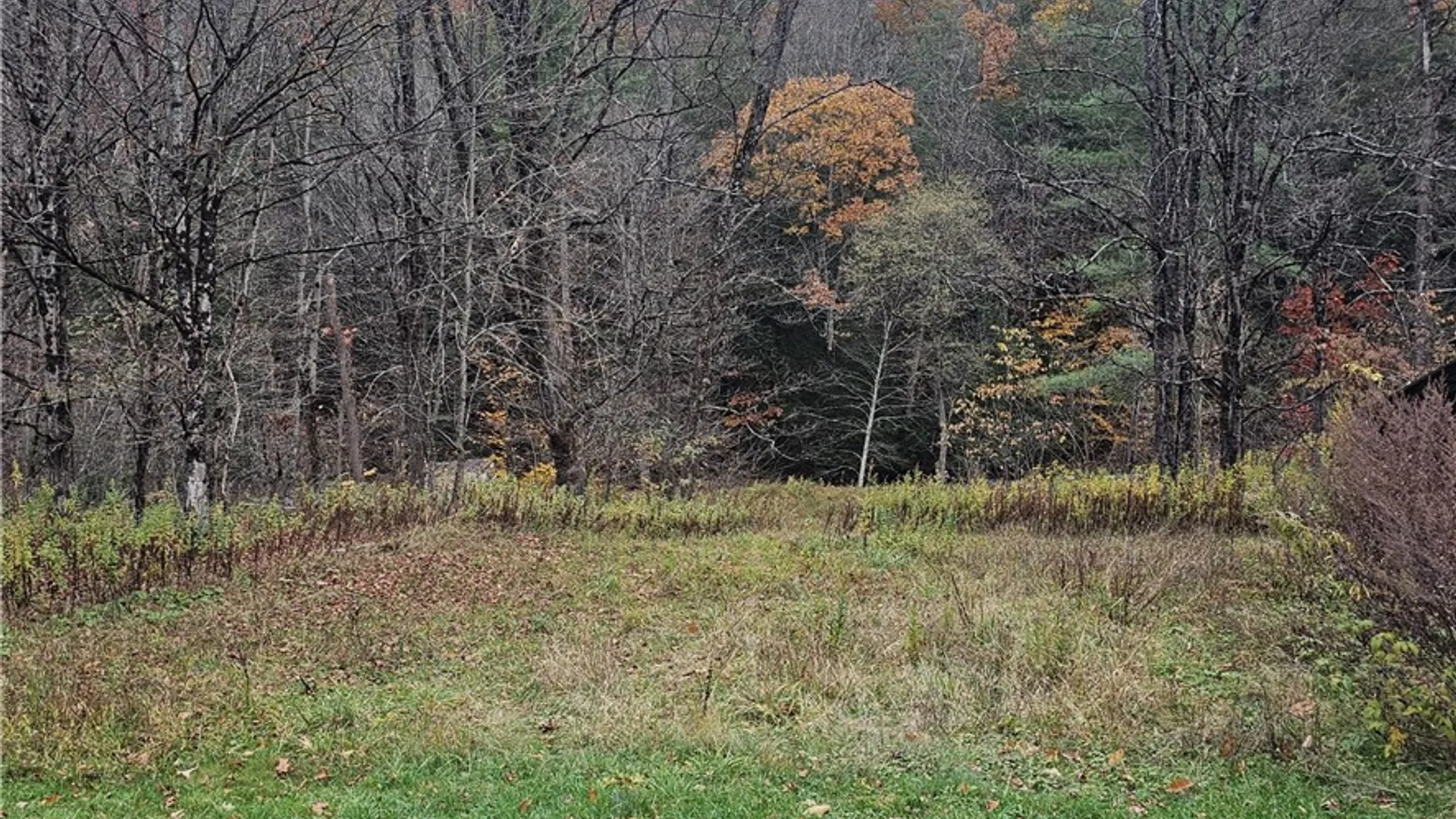 Property at 7189 Freeman Hollow Road, Bath, NY 14810 5