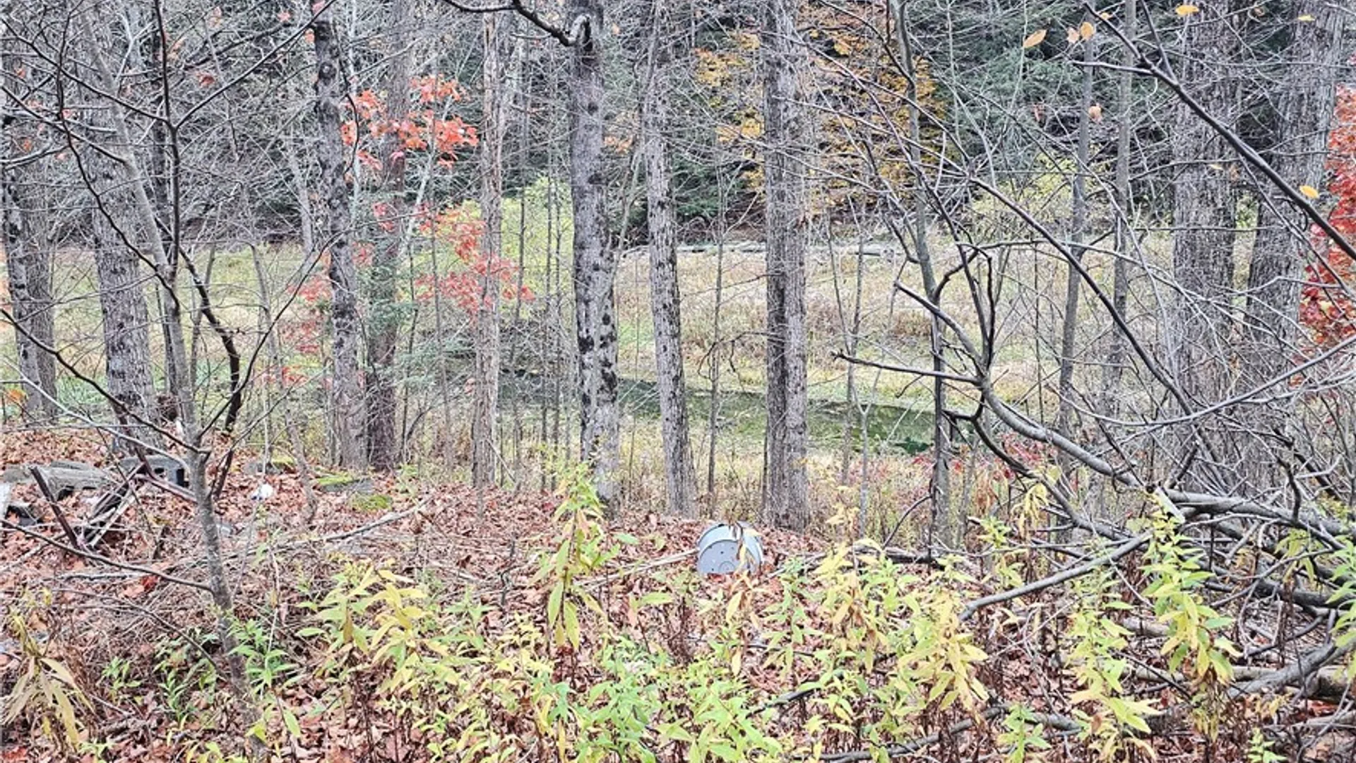 Property at 7189 Freeman Hollow Road, Bath, NY 14810 6