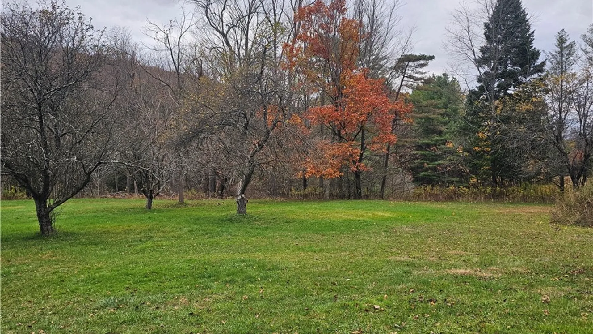 Property at 7189 Freeman Hollow Road, Bath, NY 14810 7