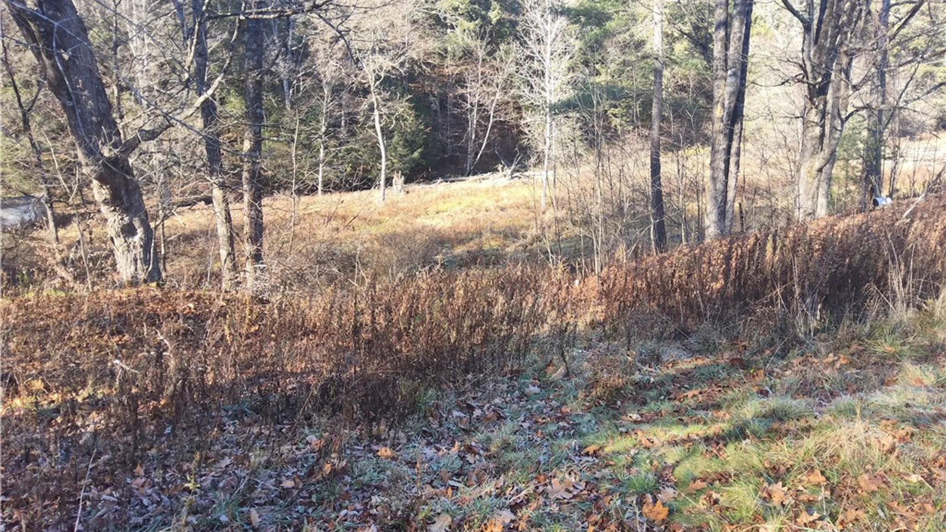 Property at 7189 Freeman Hollow Road, Bath, NY 14810 8